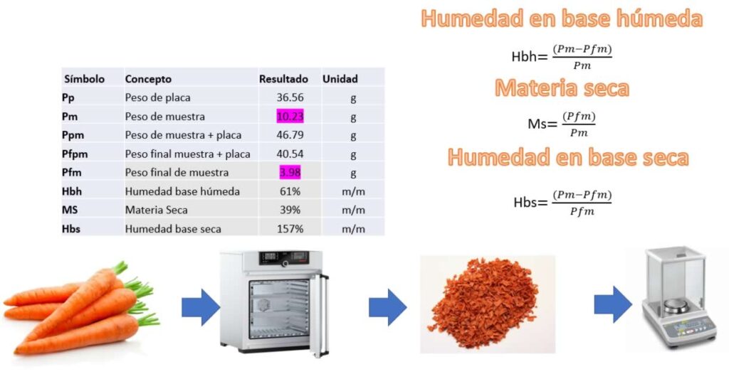 Base Humeda