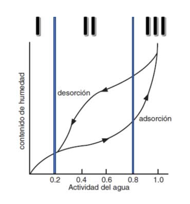 contenido humedad